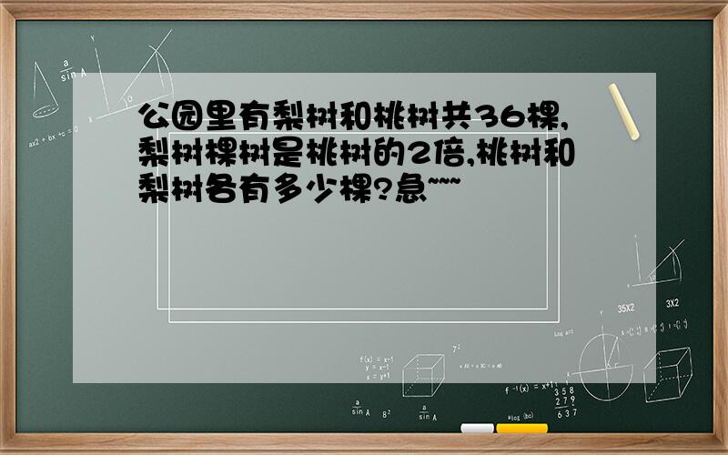 公园里有梨树和桃树共36棵,梨树棵树是桃树的2倍,桃树和梨树各有多少棵?急~~~