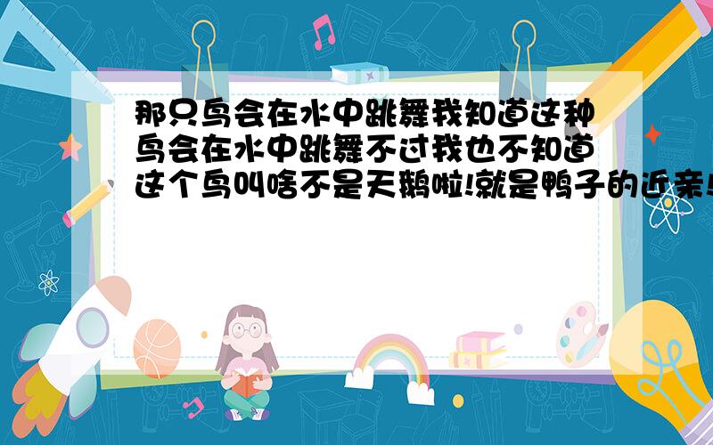 那只鸟会在水中跳舞我知道这种鸟会在水中跳舞不过我也不知道这个鸟叫啥不是天鹅啦!就是鸭子的近亲!常在水中跳起优美的舞蹈.我不知是什么