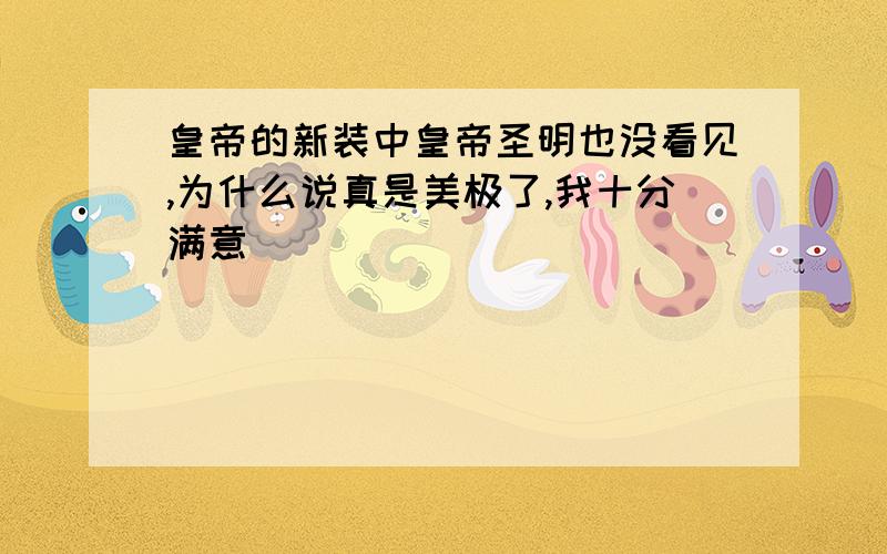 皇帝的新装中皇帝圣明也没看见,为什么说真是美极了,我十分满意