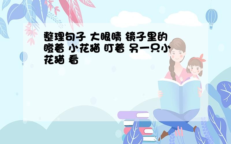 整理句子 大眼睛 镜子里的 瞪着 小花猫 盯着 另一只小花猫 看