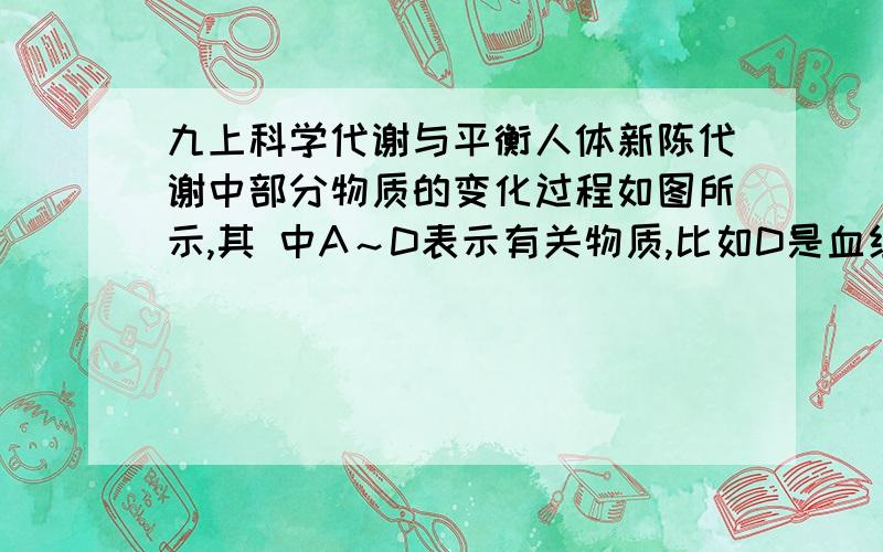 九上科学代谢与平衡人体新陈代谢中部分物质的变化过程如图所示,其 中A～D表示有关物质,比如D是血红蛋白,⑤表示有关生理(1)A是 B是 C是 (2)在上述过程中,能释放出能量的是 .(3)④和⑤两个生