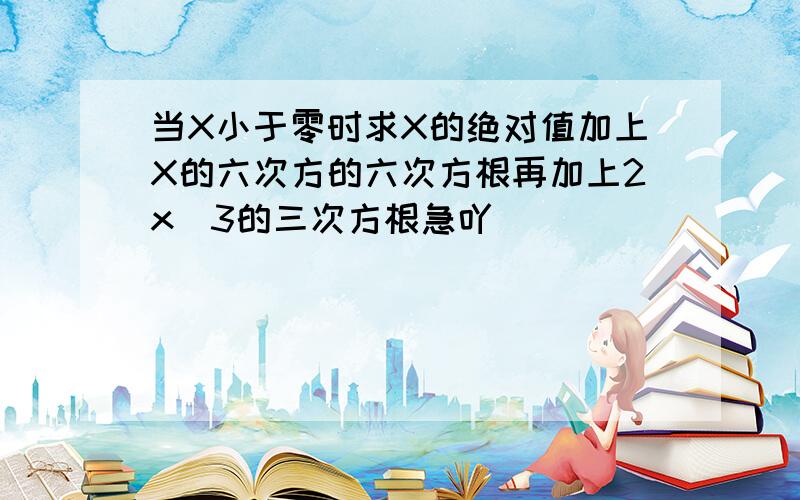 当X小于零时求X的绝对值加上X的六次方的六次方根再加上2x^3的三次方根急吖