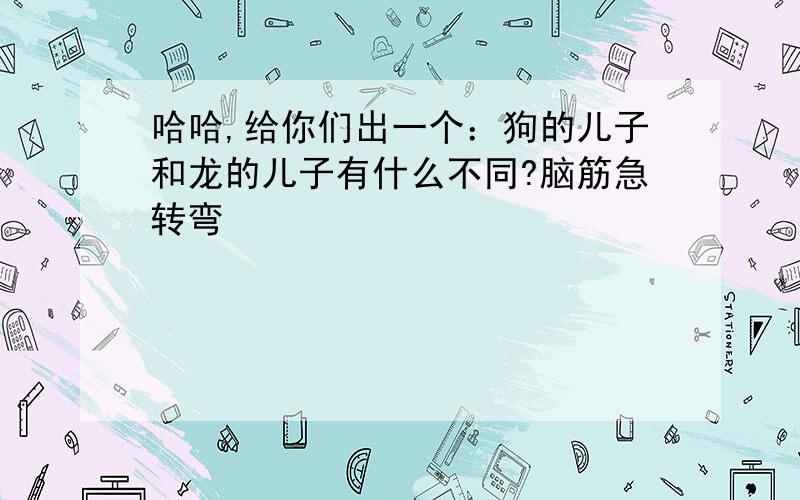 哈哈,给你们出一个：狗的儿子和龙的儿子有什么不同?脑筋急转弯