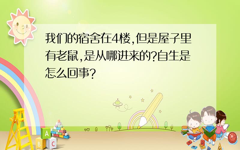 我们的宿舍在4楼,但是屋子里有老鼠,是从哪进来的?自生是怎么回事?