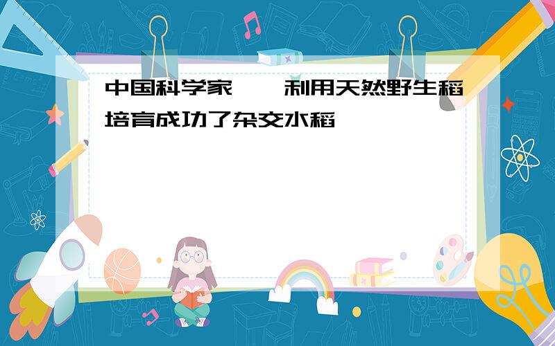 中国科学家　　利用天然野生稻培育成功了杂交水稻