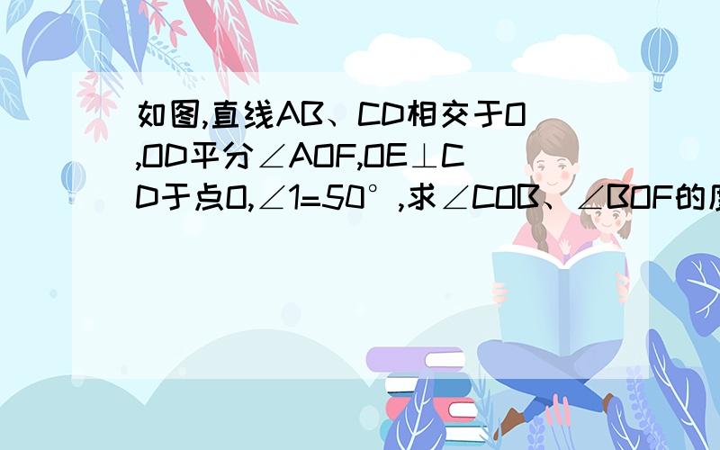 如图,直线AB、CD相交于O,OD平分∠AOF,OE⊥CD于点O,∠1=50°,求∠COB、∠BOF的度数. 请写好写对啊.急