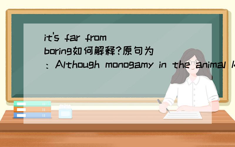 it's far from boring如何解释?原句为：Although monogamy in the animal kingdom is rare,it's far from boring.