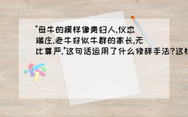 ''母牛的模样像贵妇人,仪态端庄.老牛好似牛群的家长,无比尊严.