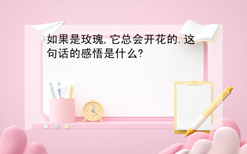 如果是玫瑰,它总会开花的.这句话的感悟是什么?