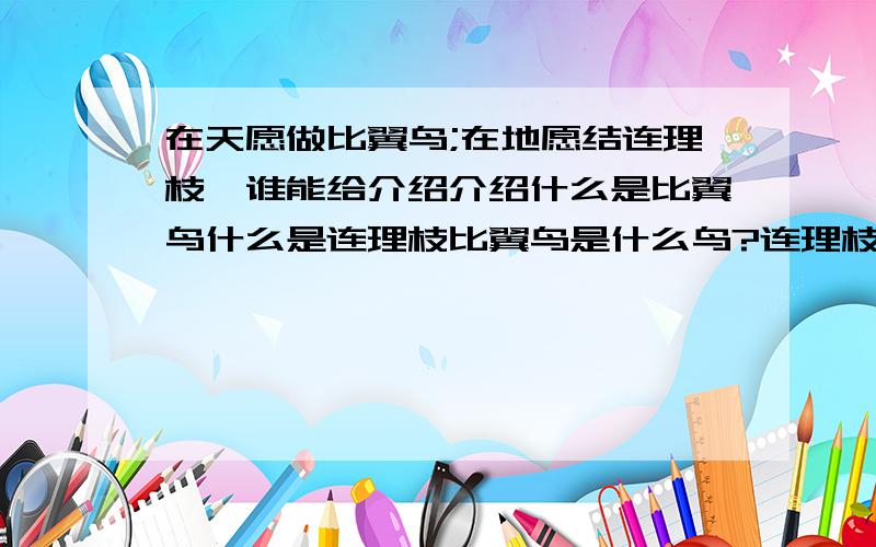 在天愿做比翼鸟;在地愿结连理枝,谁能给介绍介绍什么是比翼鸟什么是连理枝比翼鸟是什么鸟?连理枝又是什么?谢谢了