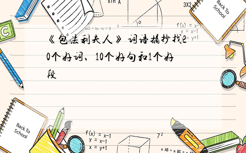 《包法利夫人》 词语摘抄找20个好词、10个好句和1个好段