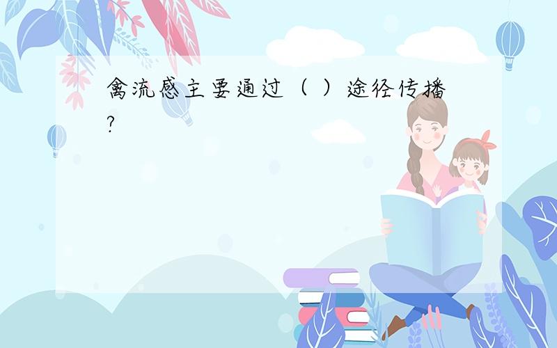 禽流感主要通过（ ）途径传播?