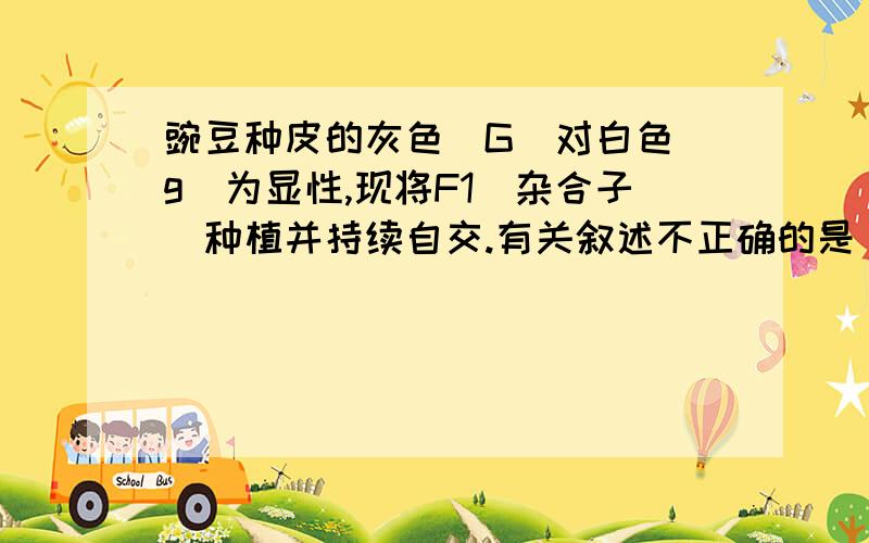 豌豆种皮的灰色(G)对白色(g)为显性,现将F1(杂合子)种植并持续自交.有关叙述不正确的是 A F1植株上所结的豌豆种皮的灰色(G)对白色(g)为显性,现将F1(杂合子)种植并持续自交.有关叙述不正确的