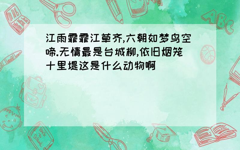 江雨霏霏江草齐,六朝如梦鸟空啼.无情最是台城柳,依旧烟笼十里堤这是什么动物啊