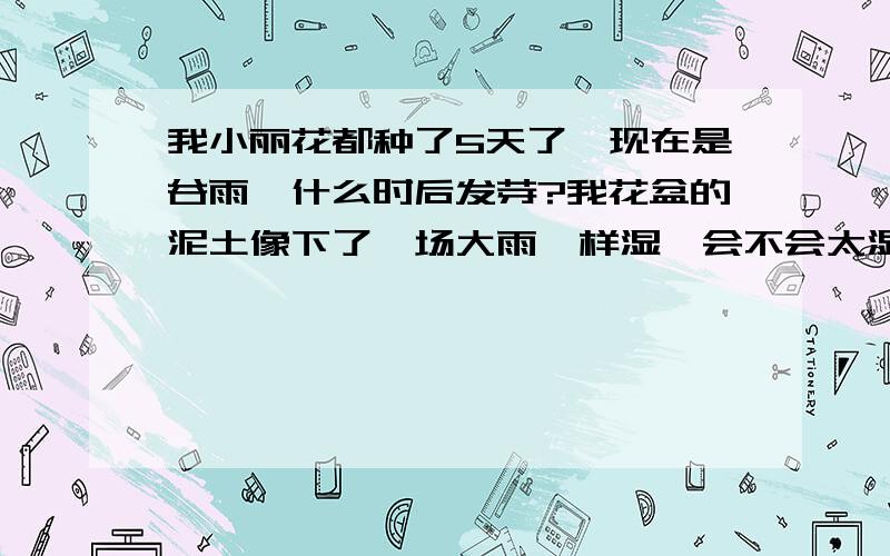 我小丽花都种了5天了,现在是谷雨,什么时后发芽?我花盆的泥土像下了一场大雨一样湿,会不会太湿发不了芽