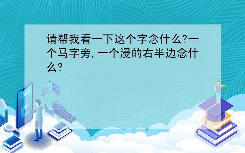 请帮我看一下这个字念什么?一个马字旁,一个浸的右半边念什么?