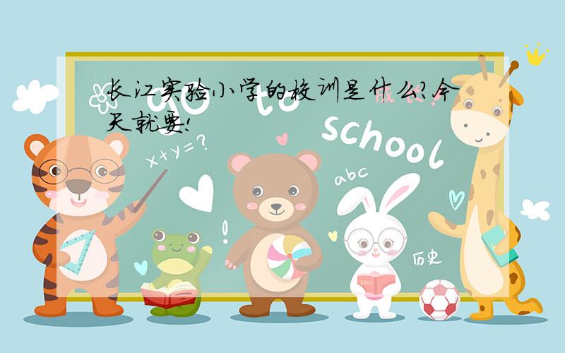 长江实验小学的校训是什么?今天就要!