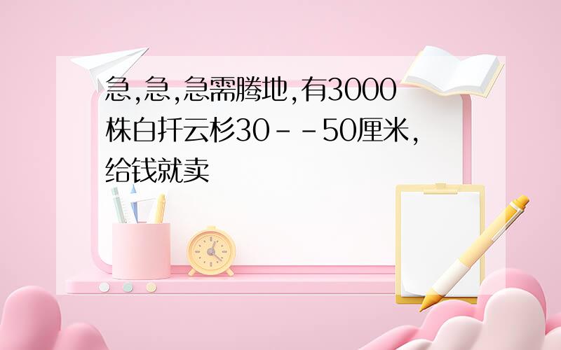 急,急,急需腾地,有3000株白扦云杉30--50厘米,给钱就卖