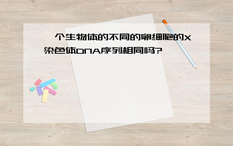 一个生物体的不同的卵细胞的X染色体DNA序列相同吗?