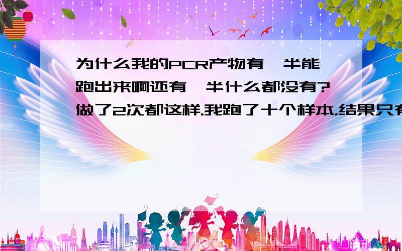 为什么我的PCR产物有一半能跑出来啊还有一半什么都没有?做了2次都这样.我跑了十个样本，结果只有五个有条带（跟我需要的一样），另外五个什么都没有。我没说一定都能扩出来了，我只