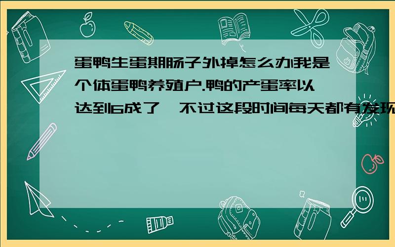 蛋鸭生蛋期肠子外掉怎么办我是个体蛋鸭养殖户.鸭的产蛋率以达到6成了,不过这段时间每天都有发现;鸭子死于肠管外露.这怎么办呢,请各路专家帮帮忙.不知道是不是生蛋后无法缩回