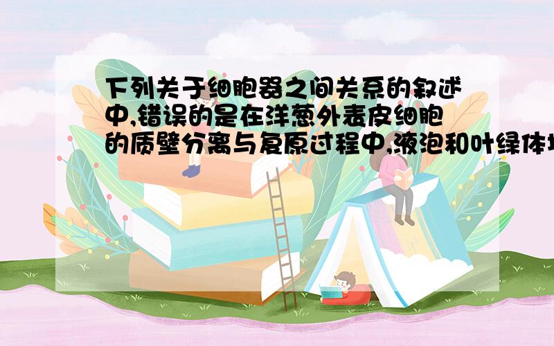 下列关于细胞器之间关系的叙述中,错误的是在洋葱外表皮细胞的质壁分离与复原过程中,液泡和叶绿体均发挥了重要的作用这句话不对吗,线粒体需要为主动运输提供能量啊,要不然怎么自动复