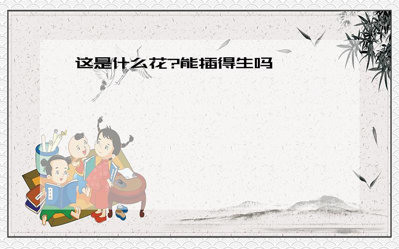 这是什么花?能插得生吗