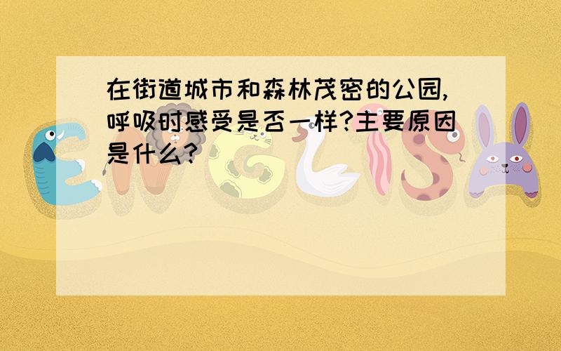 在街道城市和森林茂密的公园,呼吸时感受是否一样?主要原因是什么?