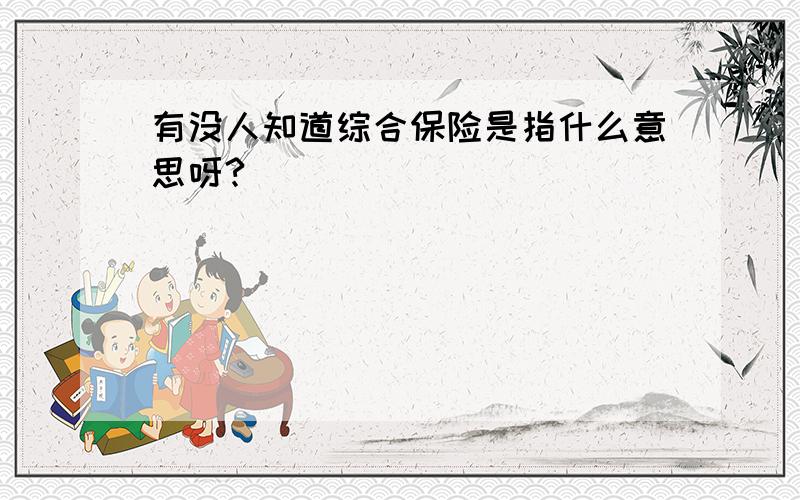 有没人知道综合保险是指什么意思呀?