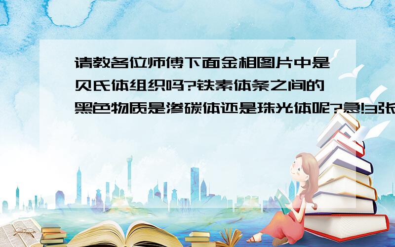 请教各位师傅下面金相图片中是贝氏体组织吗?铁素体条之间的黑色物质是渗碳体还是珠光体呢?急!3张图片均是400倍,牌号：30CrMo,热轧后空冷状态