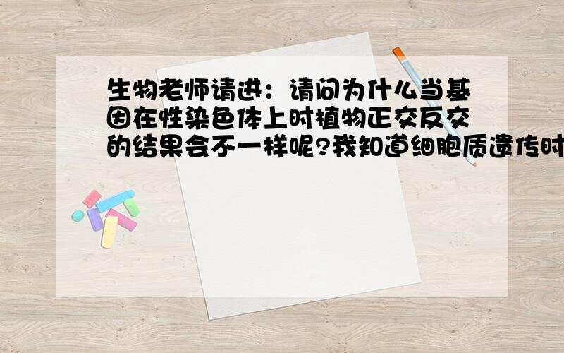 生物老师请进：请问为什么当基因在性染色体上时植物正交反交的结果会不一样呢?我知道细胞质遗传时会不...生物老师请进：请问为什么当基因在性染色体上时植物正交反交的结果会不一样