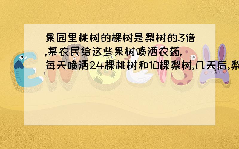 果园里桃树的棵树是梨树的3倍,某农民给这些果树喷洒农药,每天喷洒24棵桃树和10棵梨树,几天后,梨树全喷完,桃树还剩24棵.桃树和梨树有多少棵