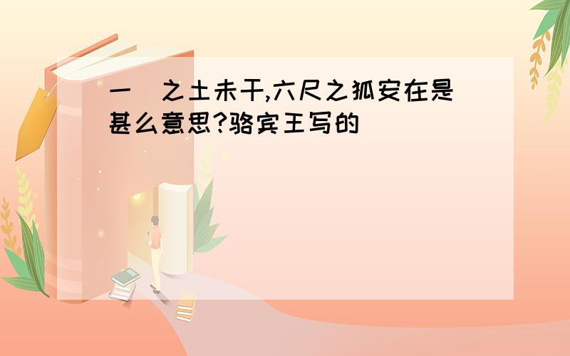 一抔之土未干,六尺之狐安在是甚么意思?骆宾王写的．