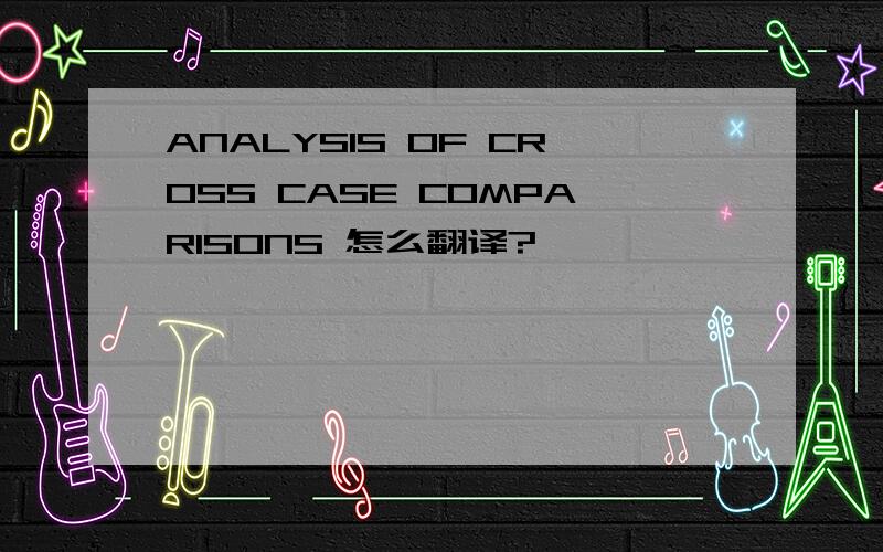 ANALYSIS OF CROSS CASE COMPARISONS 怎么翻译?