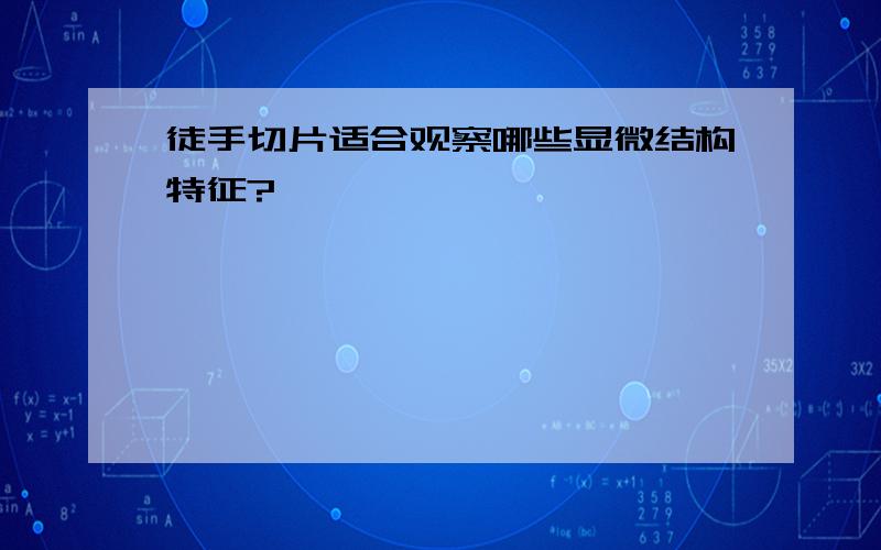 徒手切片适合观察哪些显微结构特征?