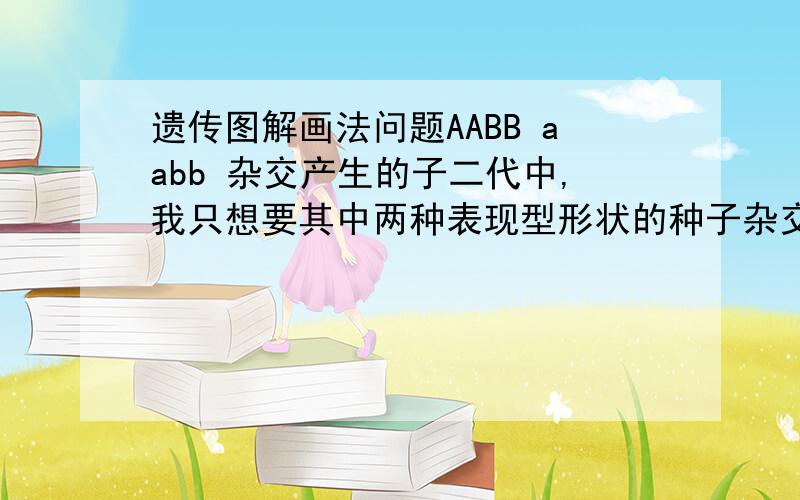 遗传图解画法问题AABB aabb 杂交产生的子二代中,我只想要其中两种表现型形状的种子杂交(比如A_bb和aaB_ )请问能否在同一张图上继续画出遗传图解?麻烦贴一个图谢了