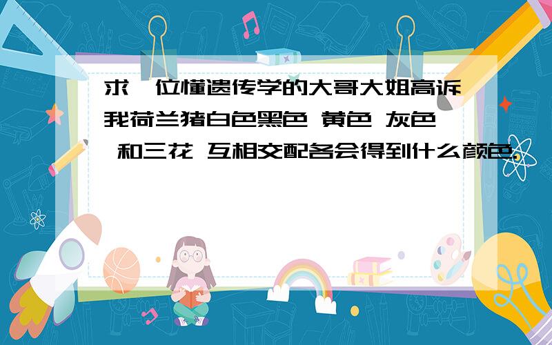 求一位懂遗传学的大哥大姐高诉我荷兰猪白色黑色 黄色 灰色 和三花 互相交配各会得到什么颜色.