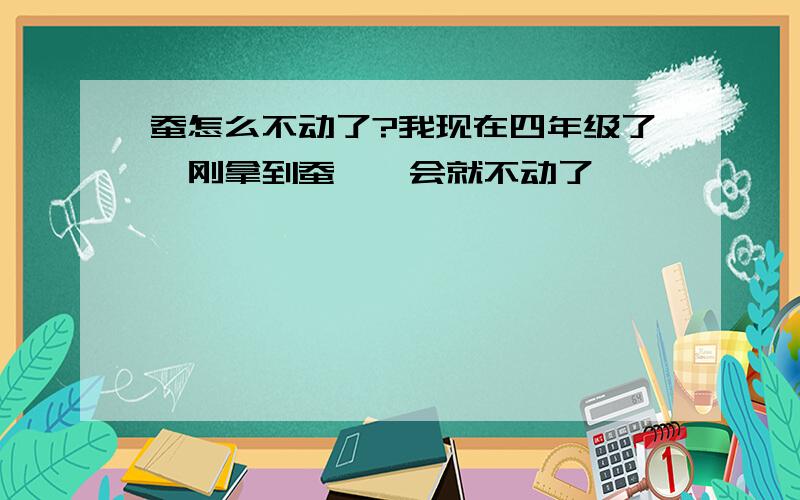 蚕怎么不动了?我现在四年级了,刚拿到蚕,一会就不动了,