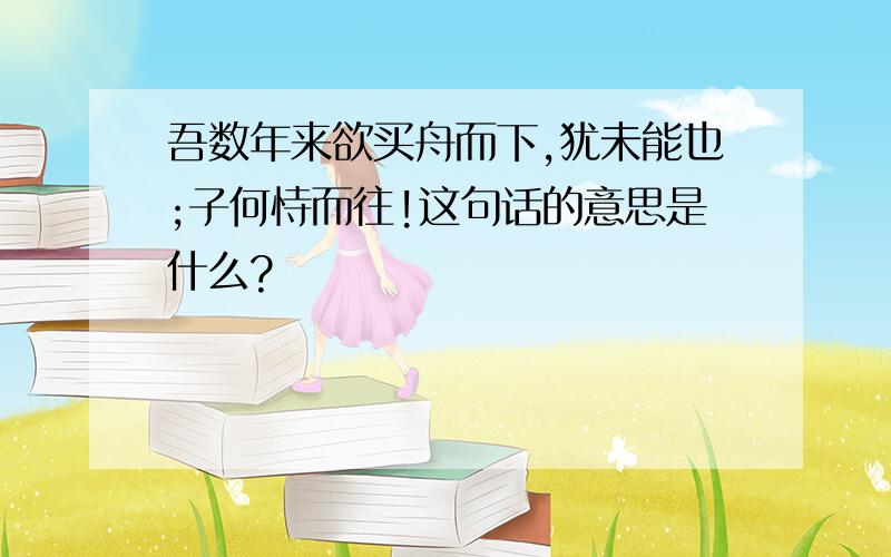 吾数年来欲买舟而下,犹未能也;子何恃而往!这句话的意思是什么?