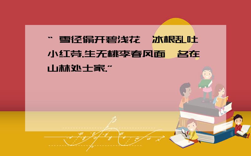 “ 雪径偷开碧浅花,冰根乱吐小红芽.生无桃李春风面,名在山林处士家.”