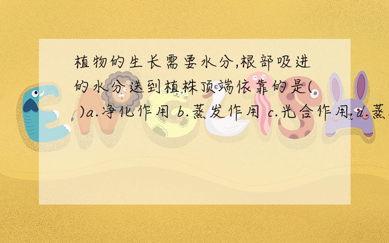 植物的生长需要水分,根部吸进的水分送到植株顶端依靠的是( )a.净化作用 b.蒸发作用 c.光合作用 d.蒸腾作用