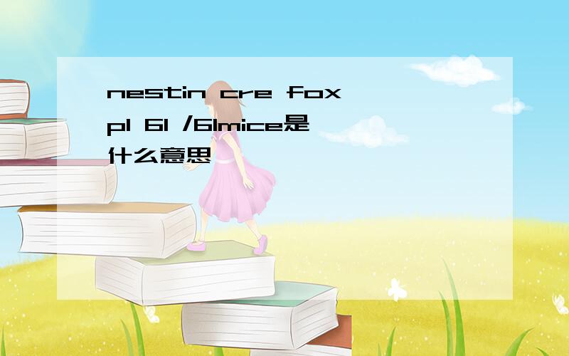 nestin cre foxp1 61 /61mice是什么意思