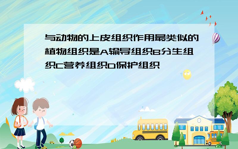 与动物的上皮组织作用最类似的植物组织是A输导组织B分生组织C营养组织D保护组织