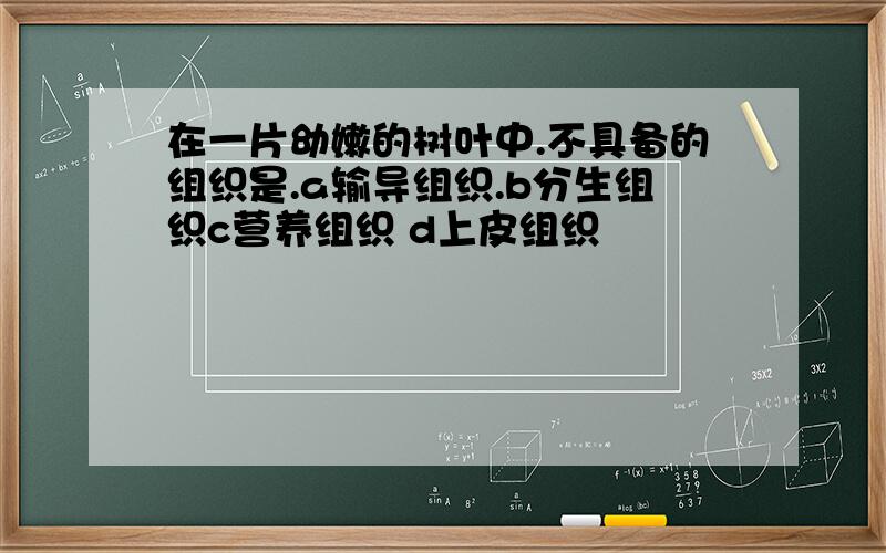 在一片幼嫩的树叶中.不具备的组织是.a输导组织.b分生组织c营养组织 d上皮组织