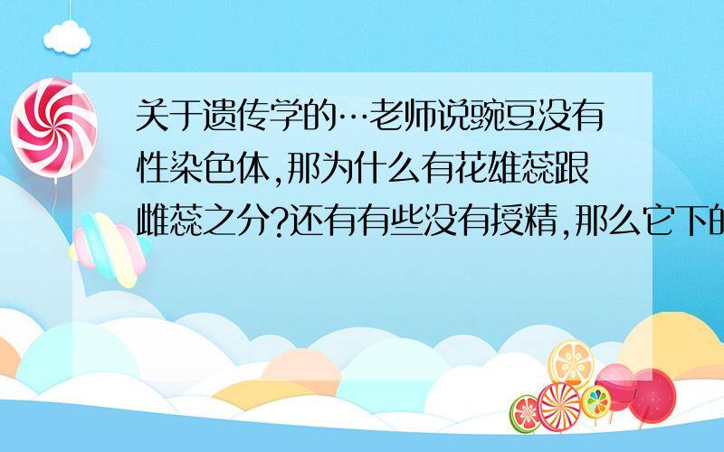 关于遗传学的…老师说豌豆没有性染色体,那为什么有花雄蕊跟雌蕊之分?还有有些没有授精,那么它下的蛋是卵细胞?是有些母鸡没有授精