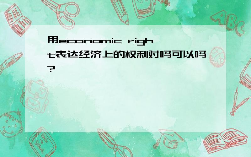 用economic right表达经济上的权利对吗可以吗?