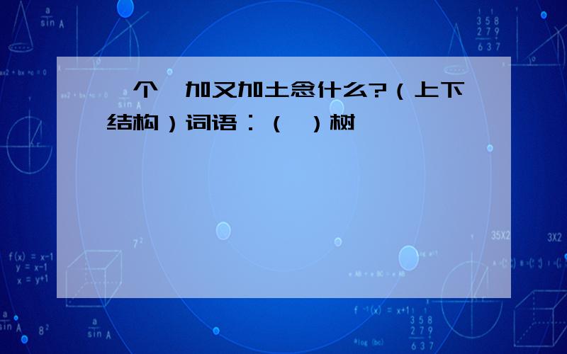 一个睿加又加土念什么?（上下结构）词语：（ ）树