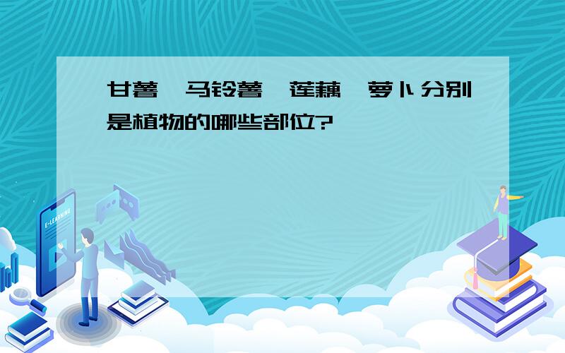 甘薯、马铃薯、莲藕、萝卜分别是植物的哪些部位?