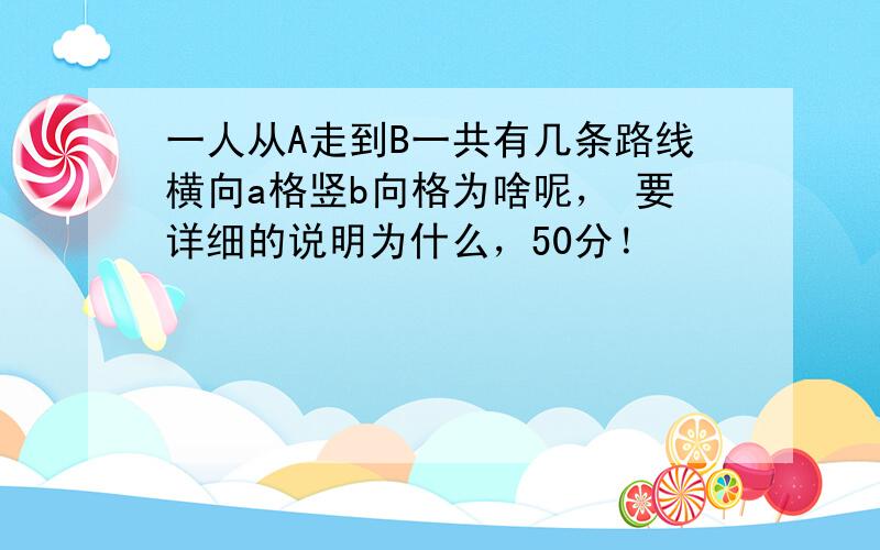 一人从A走到B一共有几条路线横向a格竖b向格为啥呢， 要详细的说明为什么，50分！