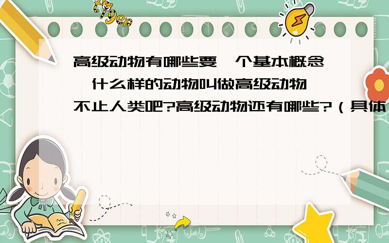 高级动物有哪些要一个基本概念,什么样的动物叫做高级动物,不止人类吧?高级动物还有哪些?（具体一点）